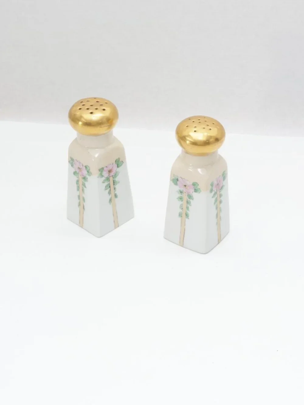 Hand Painted Bavarian Porcelain Salt and Pepperr ShakeSet Floral Design